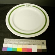 Cover image of Cpr Plate